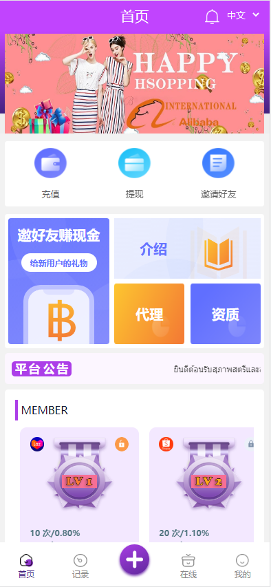 九套UI可切换海外抢单刷单系统/订单自动匹配系统/分组杀/连单控-清风源码网