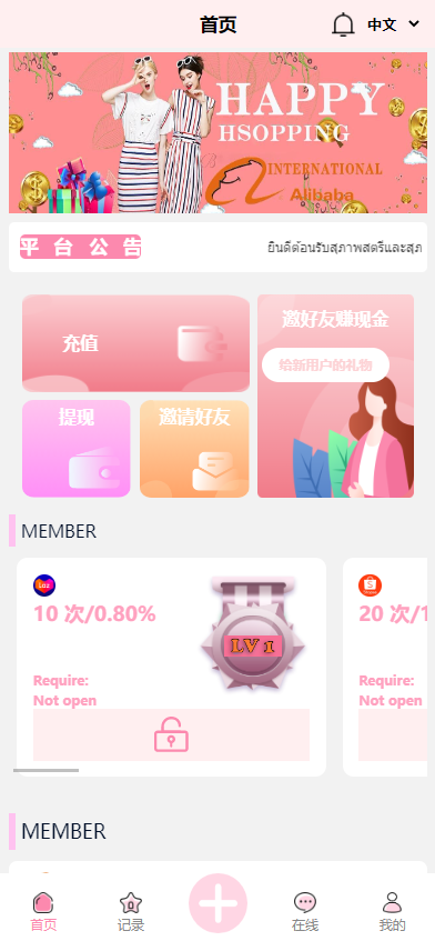 图片[9]-九套UI可切换海外抢单刷单系统/订单自动匹配系统/分组杀/连单控-清风源码网